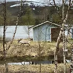Aurora Moekki Porealtaalla Lapissa Tenojoen Rannassa Chalet
