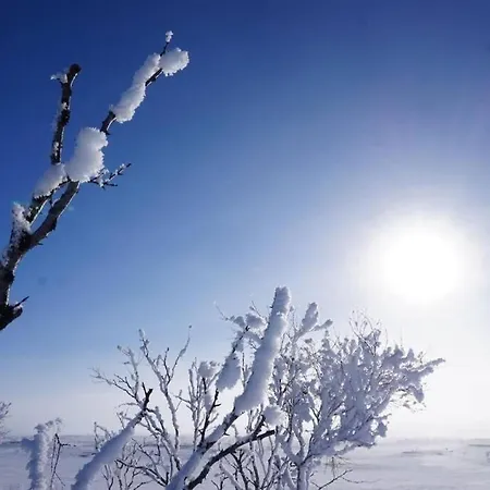 Chalet Aurora Moekki Porealtaalla Lapissa Tenojoen Rannassa *