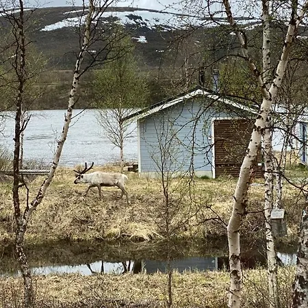 Aurora Moekki Porealtaalla Lapissa Tenojoen Rannassa Chalet