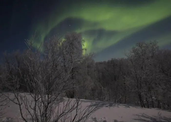Aurora Moekki Porealtaalla Lapissa Tenojoen Rannassa Domek alpejski Nuorgam
