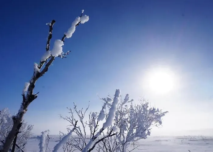 Domek alpejski Aurora Moekki Porealtaalla Lapissa Tenojoen Rannassa *