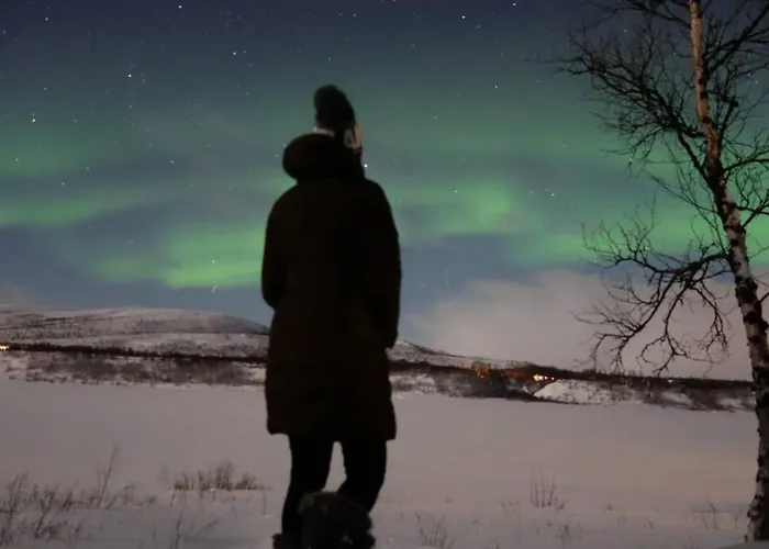 Aurora Moekki Porealtaalla Lapissa Tenojoen Rannassa Domek alpejski *