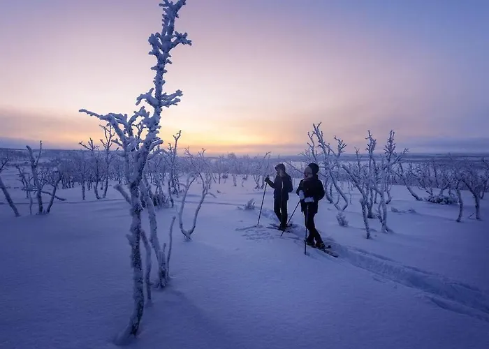 Domek alpejski Aurora Moekki Porealtaalla Lapissa Tenojoen Rannassa *