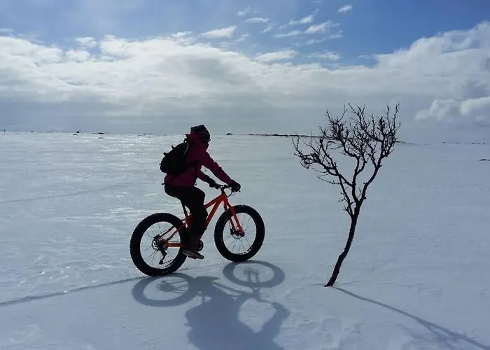 Aurora Moekki Porealtaalla Lapissa Tenojoen Rannassa Chalet